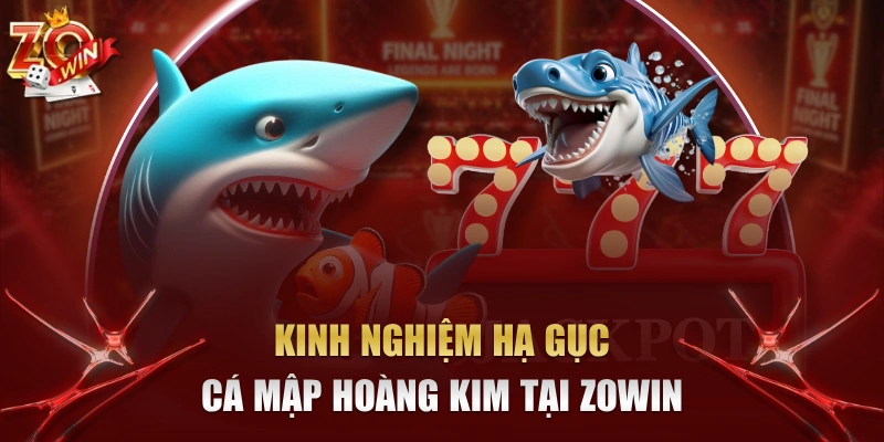Kinh Nghiệm Hạ Gục Cá Mập Hoàng Kim Tại Zowin 2026 1 kinh nghiệm hạ gục Cá Mập Hoàng Kim